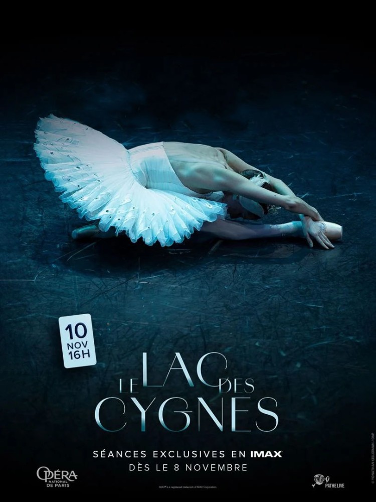 Le lac des cygnes